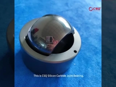 SSIC ポンプに使用されるセラミック結合ベアリング
