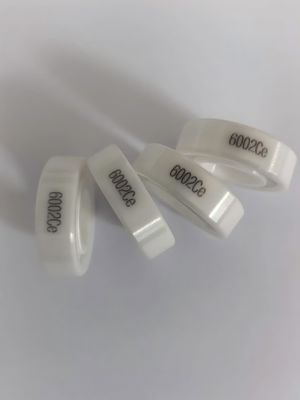 6002ce  Zirconium Oxide Bearings For Pumps Valves Handling Corrosive Fluids Acids / Alkalis